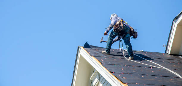 Best Roof Gutter Cleaning  in Old Stine, CA